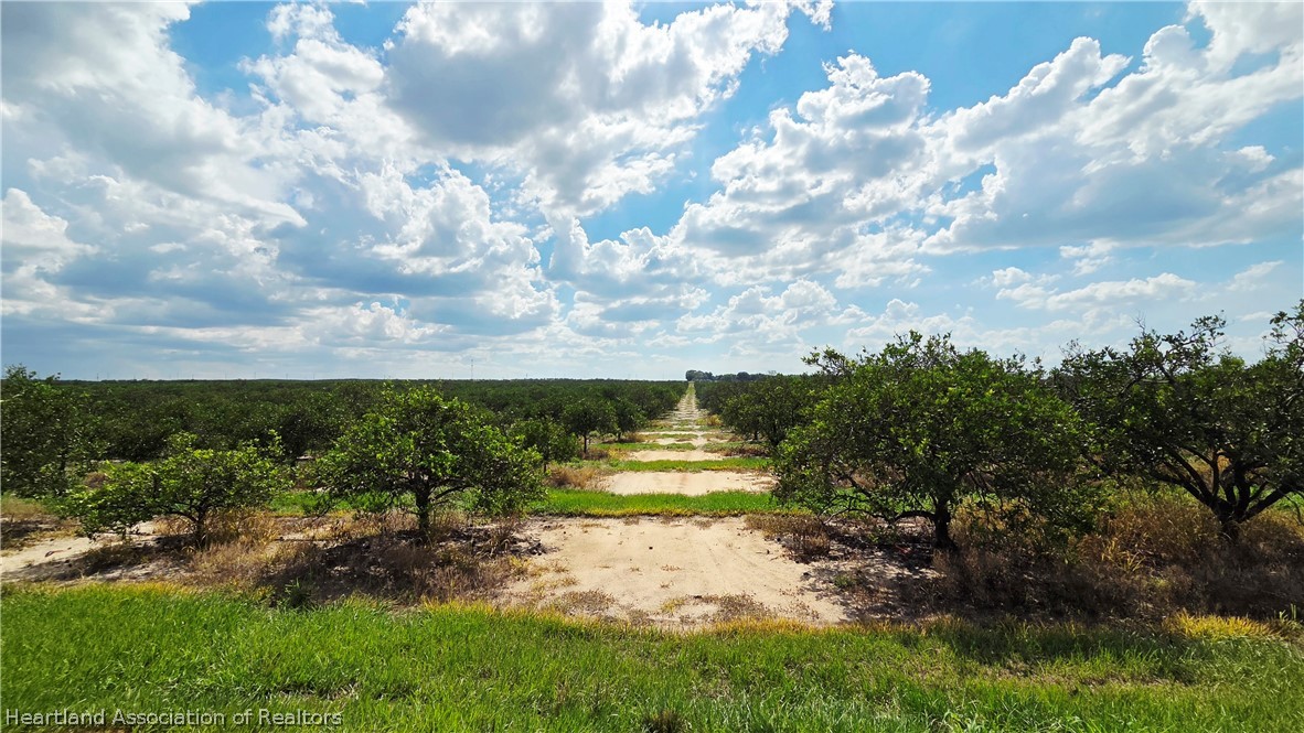 0 Seminole Road Babson Park, FL 33827 - Photo 5 of 8