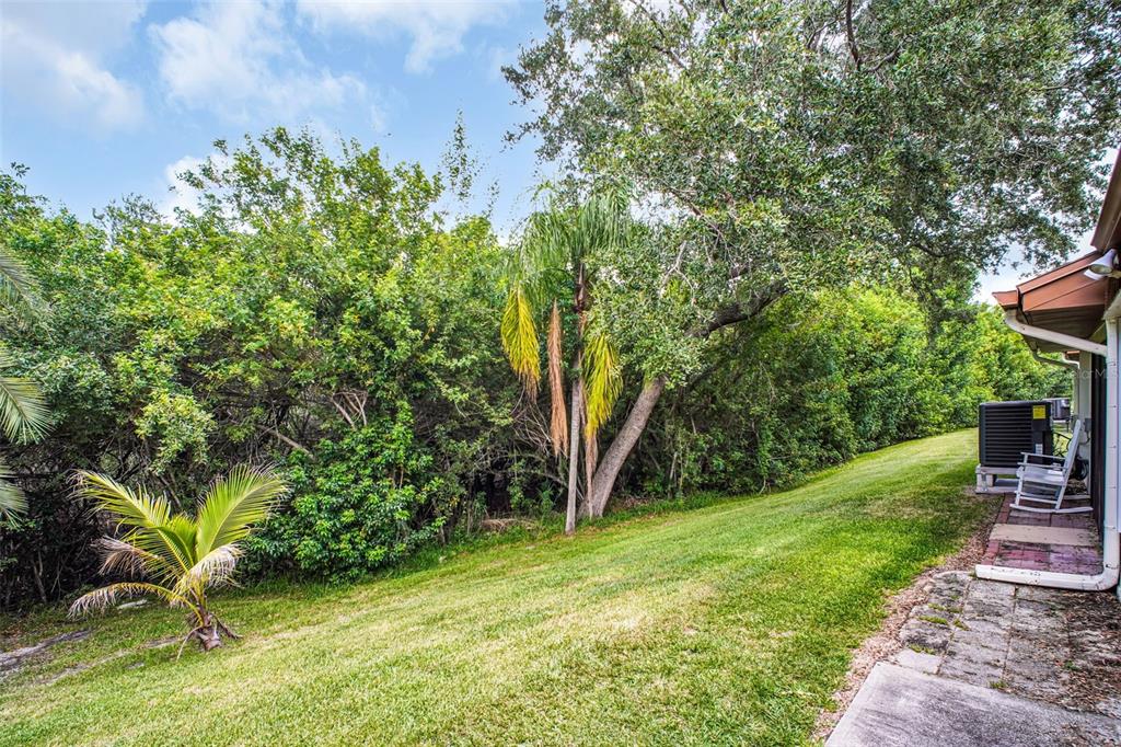 14893 Feather Cove Road Clearwater, FL 33762 - Photo 44 of 52