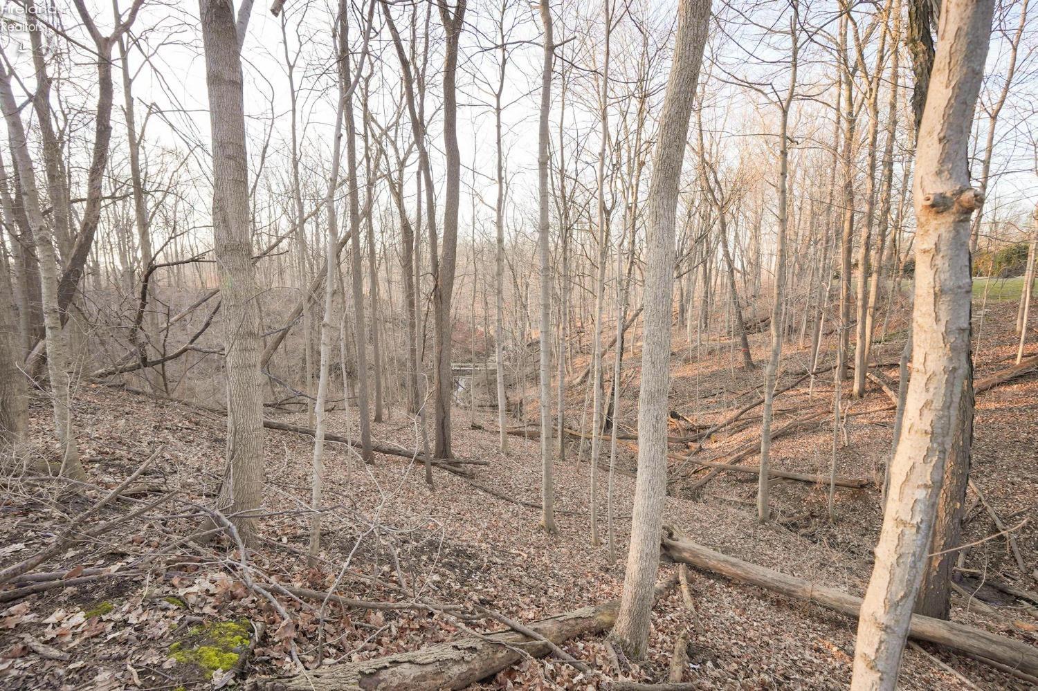 1422 Morrison Road Fremont, OH 43420 - Photo 4 of 68 Gallery Image 4