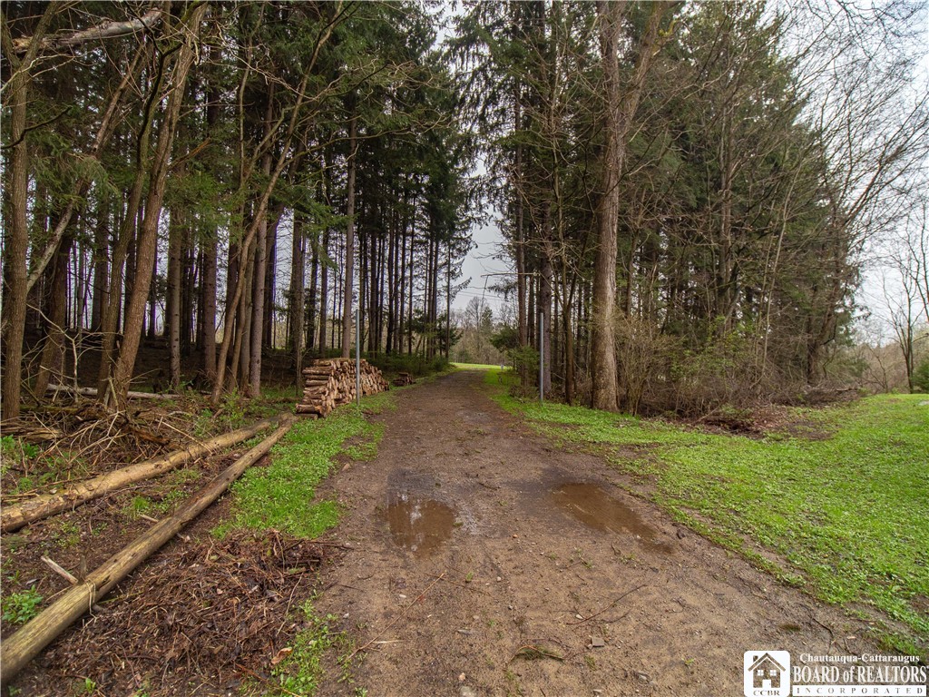 5585 Eke Road Ashville, NY 14710 - Photo 46 of 46