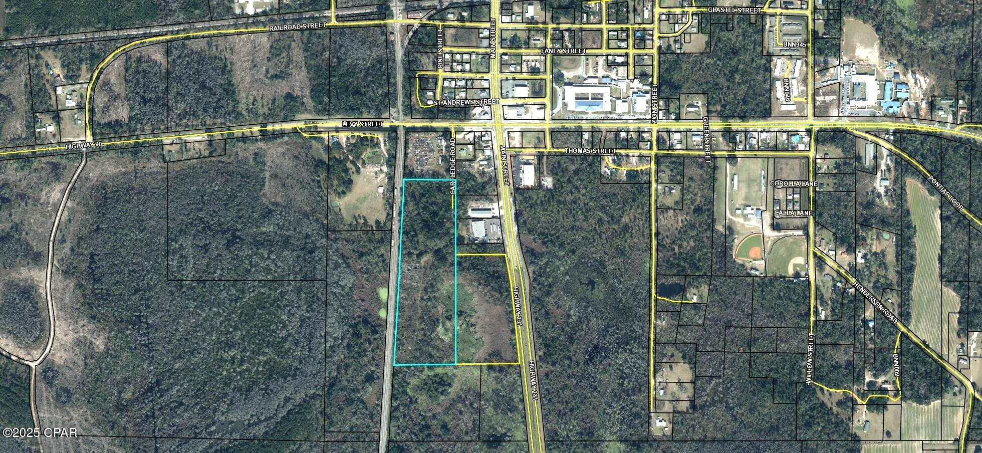 16.14-acre Cartledge Road Cottondale, FL 32431 - Photo 4 of 4