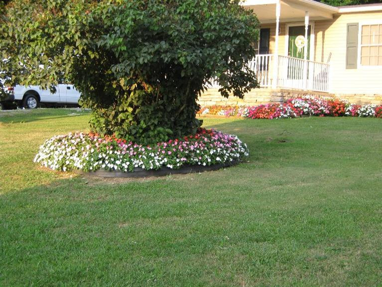 2184 Locust Grove Road Carlisle, KY 40311 - Photo 14 of 46 Photo 14