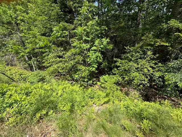 $29,900 | 0 Moosehorn Drive, Bucksport, ME 04416