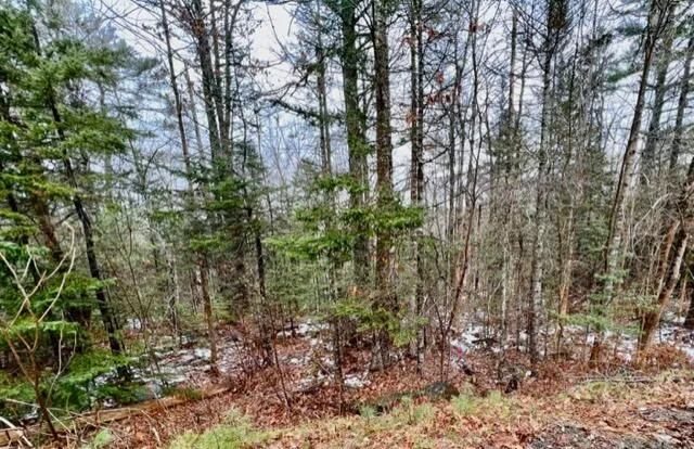 $29,900 | 0 Moosehorn Drive, Bucksport, ME 04416