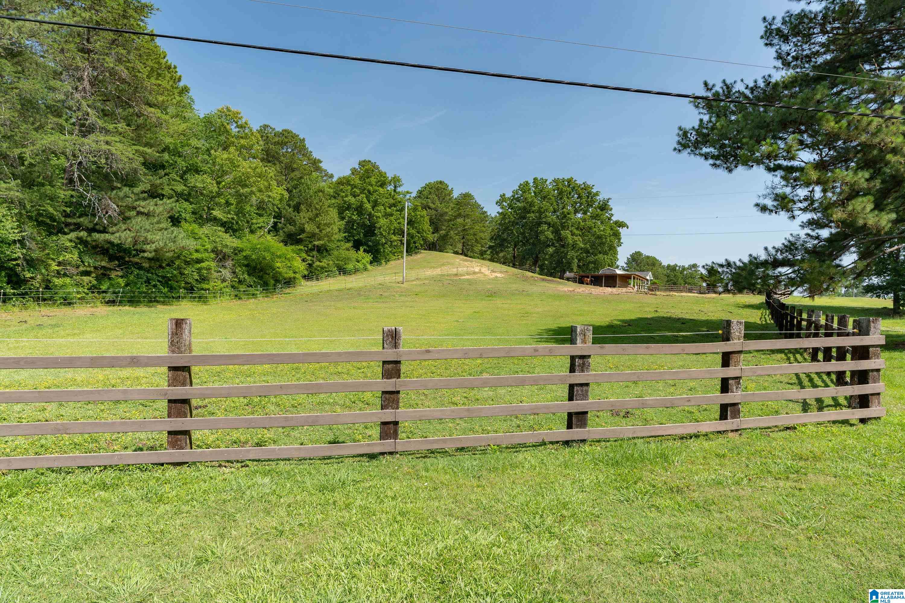 1034 Bob Glenn Road Morris, AL 35116 - Photo 39 of 60