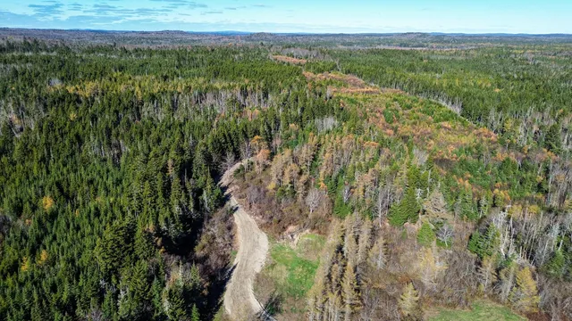 $129,000 | Lot 5 Holmes Bay Farm, Whiting, ME 04691