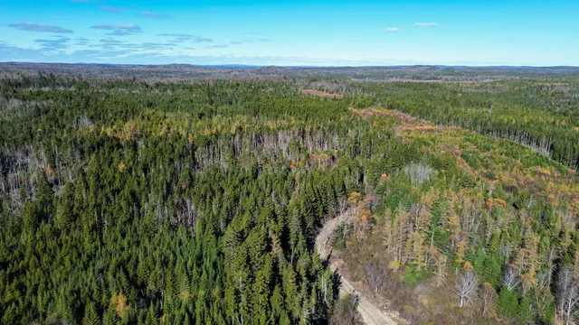 $129,000 | Lot 5 Holmes Bay Farm, Whiting, ME 04691