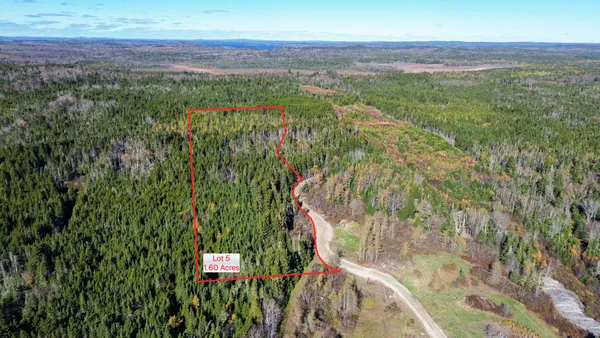 $129,000 | Lot 5 Holmes Bay Farm, Whiting, ME 04691
