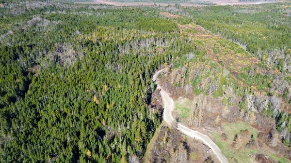 $129,000 | Lot 5 Holmes Bay Farm, Whiting, ME 04691