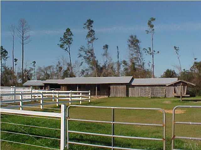 6156 Enfinger Road Pace, FL 32571 - Photo 13 of 20 Back pasture