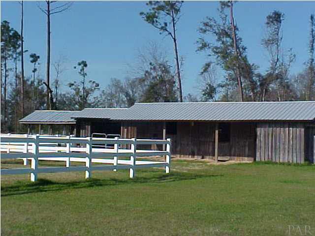 6156 Enfinger Road Pace, FL 32571 - Photo 14 of 20 Back pasture 2