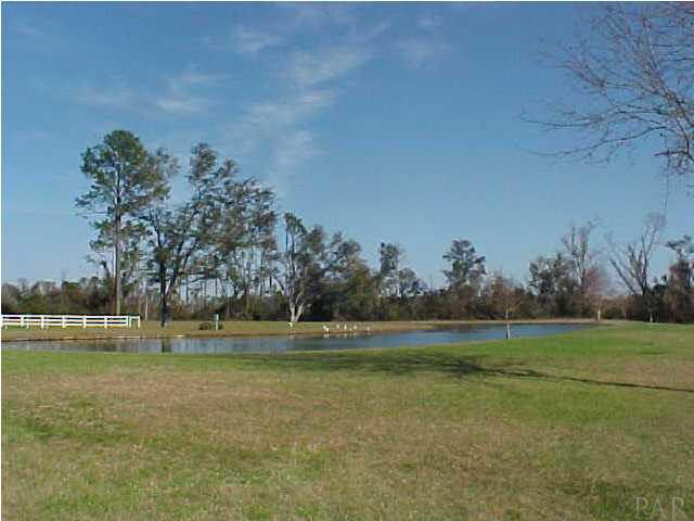 6156 Enfinger Road Pace, FL 32571 - Photo 17 of 20 Pond behind house
