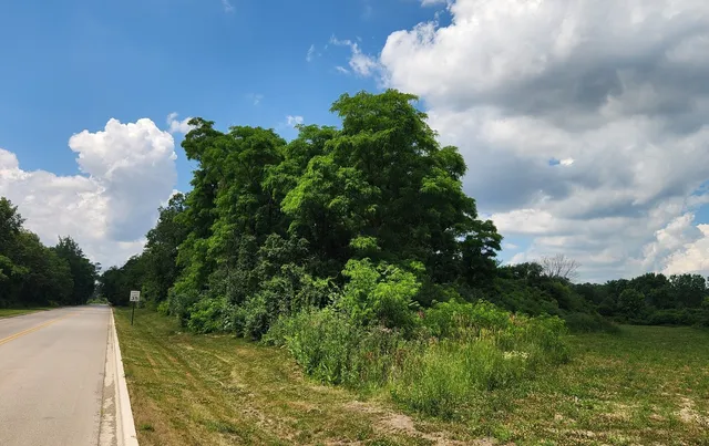 a view of a yard and a barn