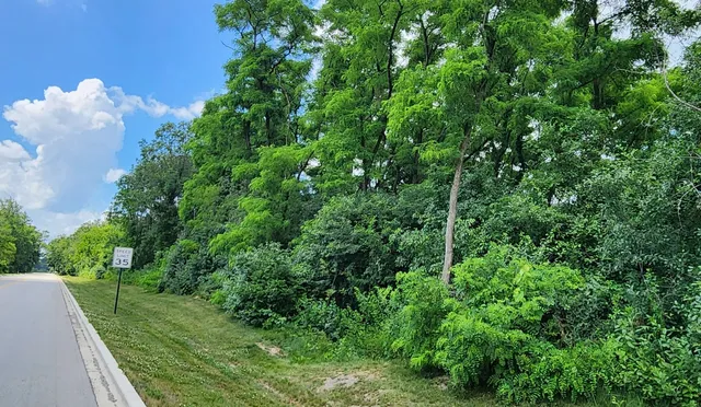 a backyard of a house with lots of green space