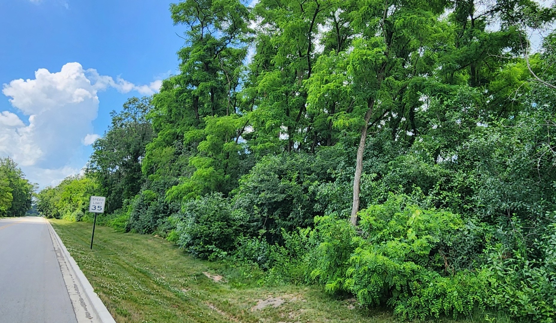 0 Crete Road Crete, IL 60417 - Photo 4 of 6 a view of a yard with plants