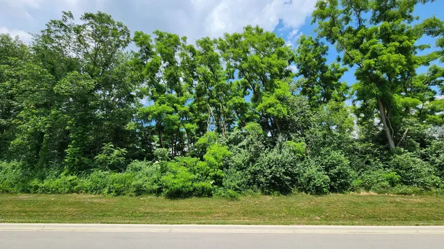 $35,000 | 0 Crete Road, Crete, IL 60417