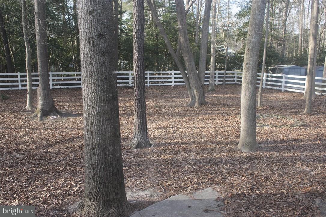 20326 Forest Road Milton, DE 19968 - Photo 24 of 29 Gallery Image 24