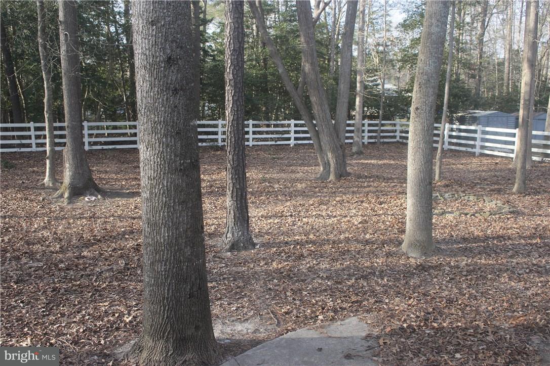 20326 Forest Road Milton, DE 19968 - Photo 25 of 29 Gallery Image 25