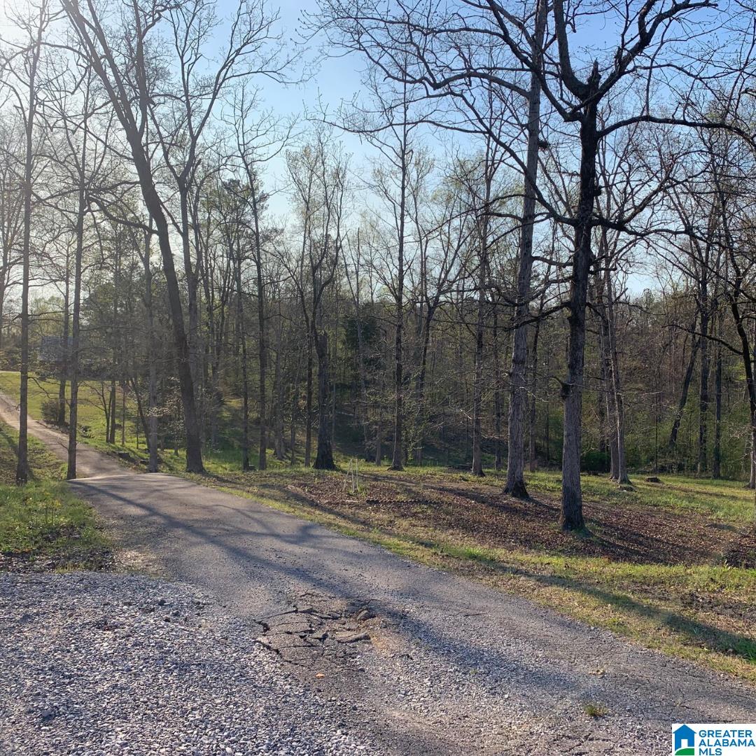 3745 Highway 144 Ohatchee, AL 36271 - Photo 13 of 47
