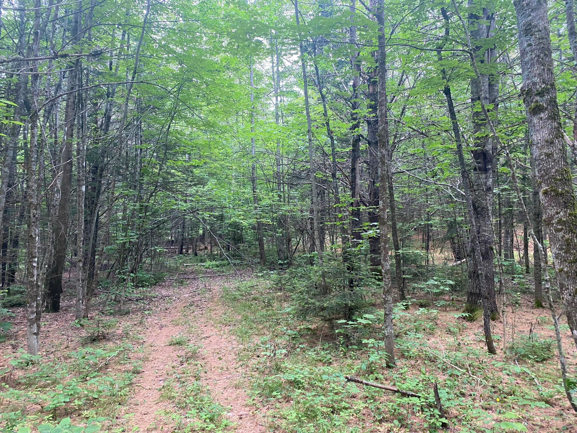 Lot#17 Guilford Center Road Guilford, ME 04443 - Photo 16 of 20