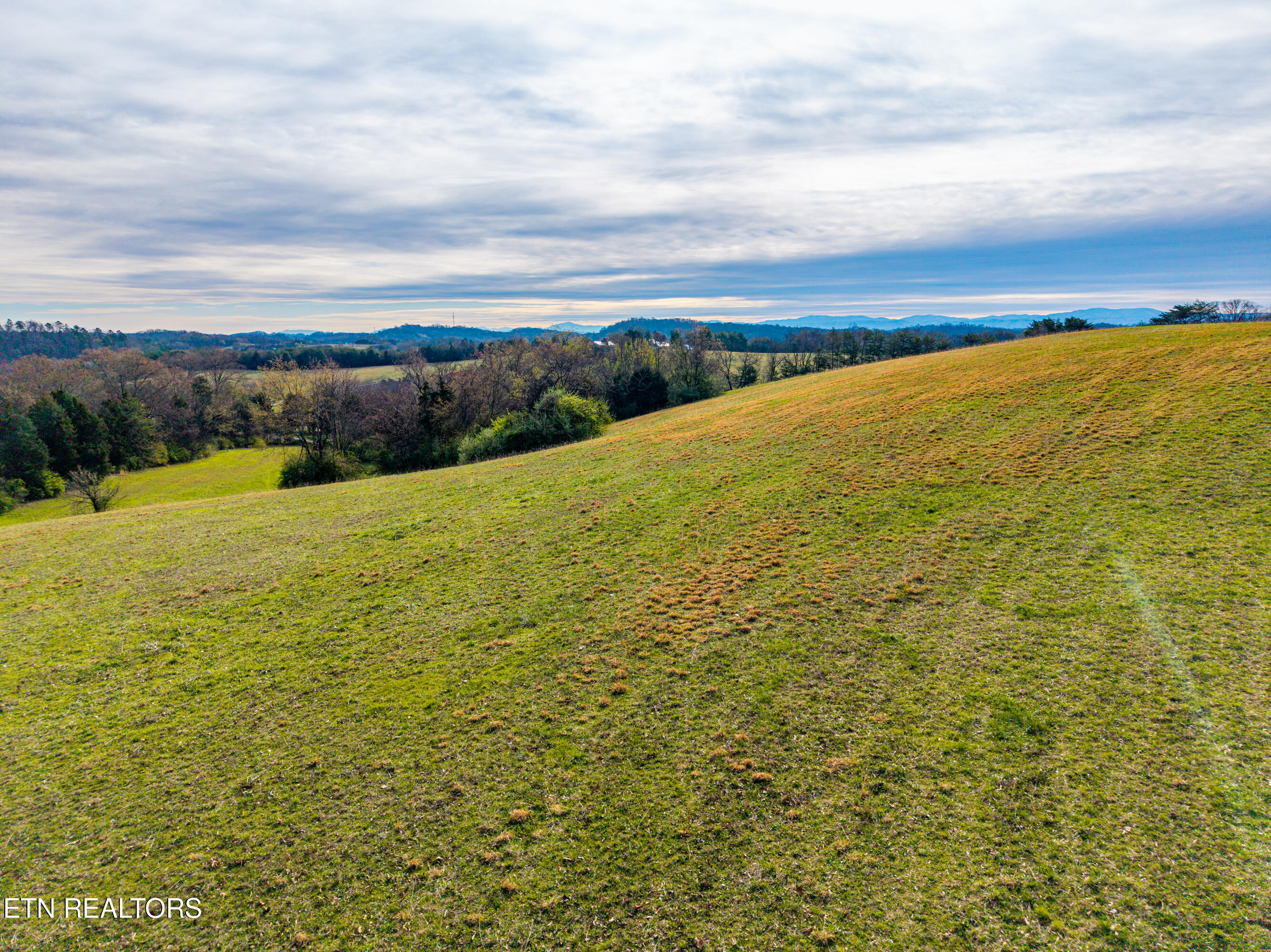 Unitia Road Friendsville, TN 37737 - Photo 3 of 33 UnitiaRd-29