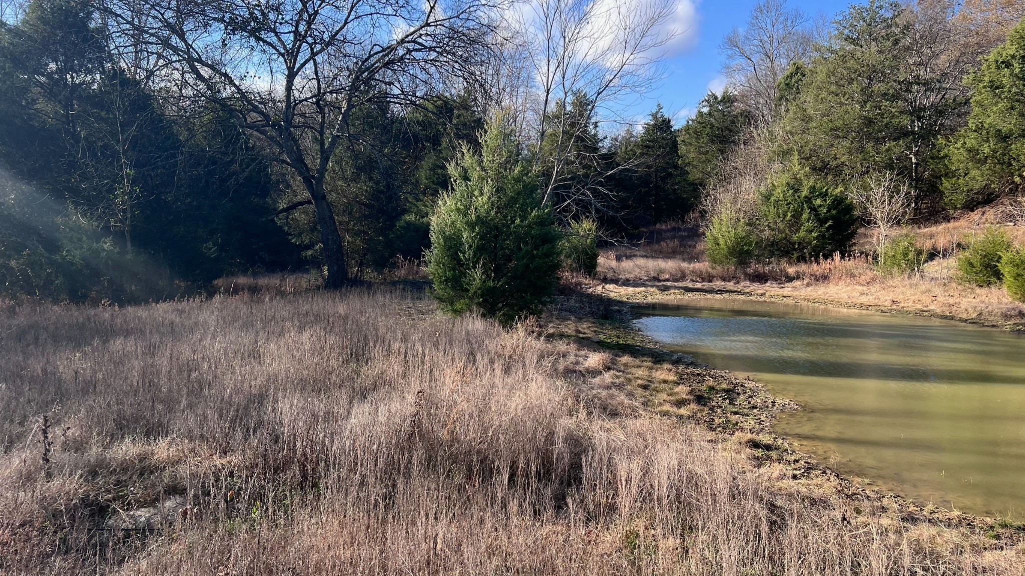 a view of lake with green space