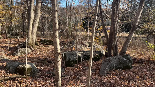 a backyard of a house with lots of green space