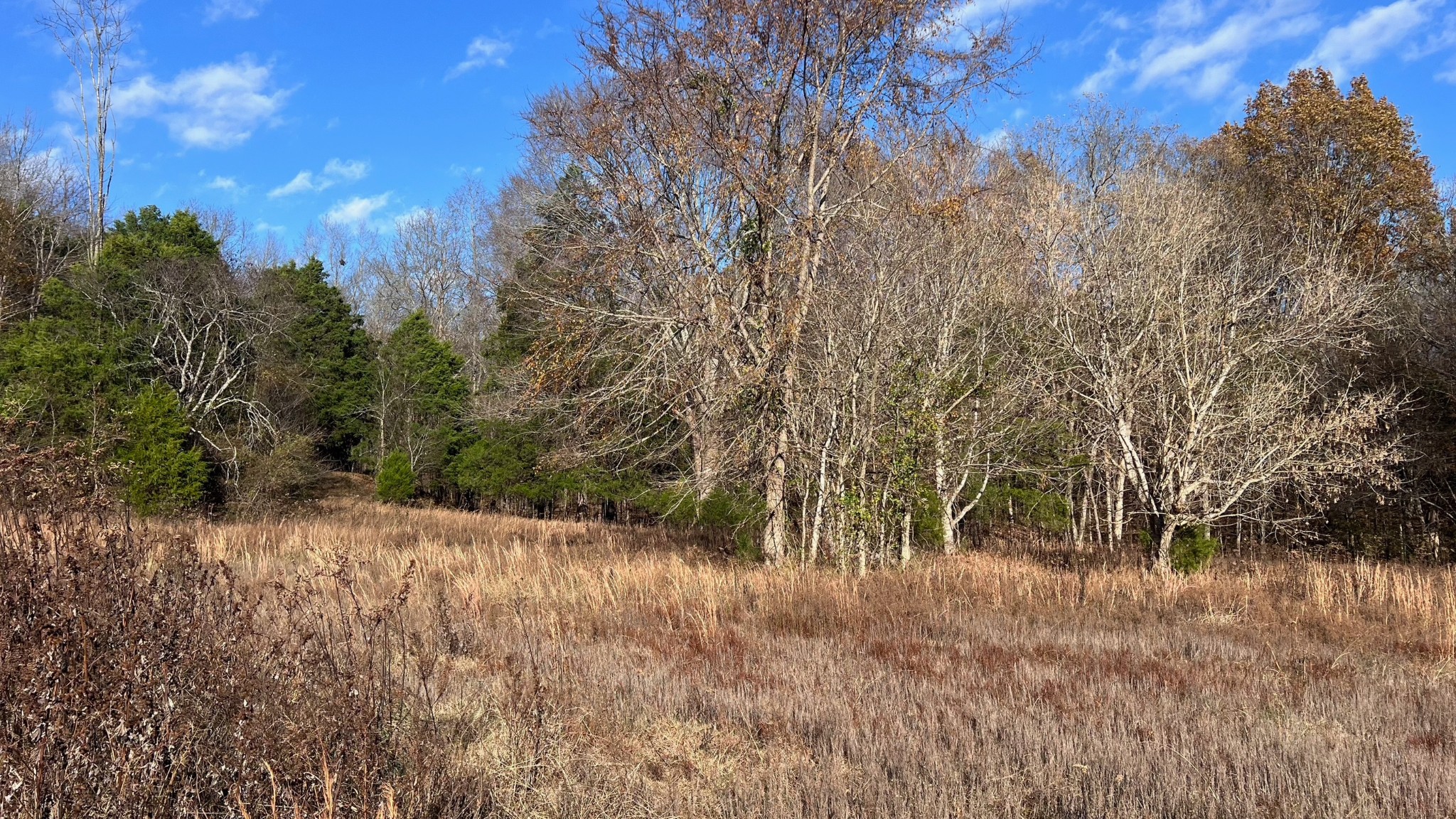 1 Adams Road Watertown, TN 37184 - Photo 14 of 79