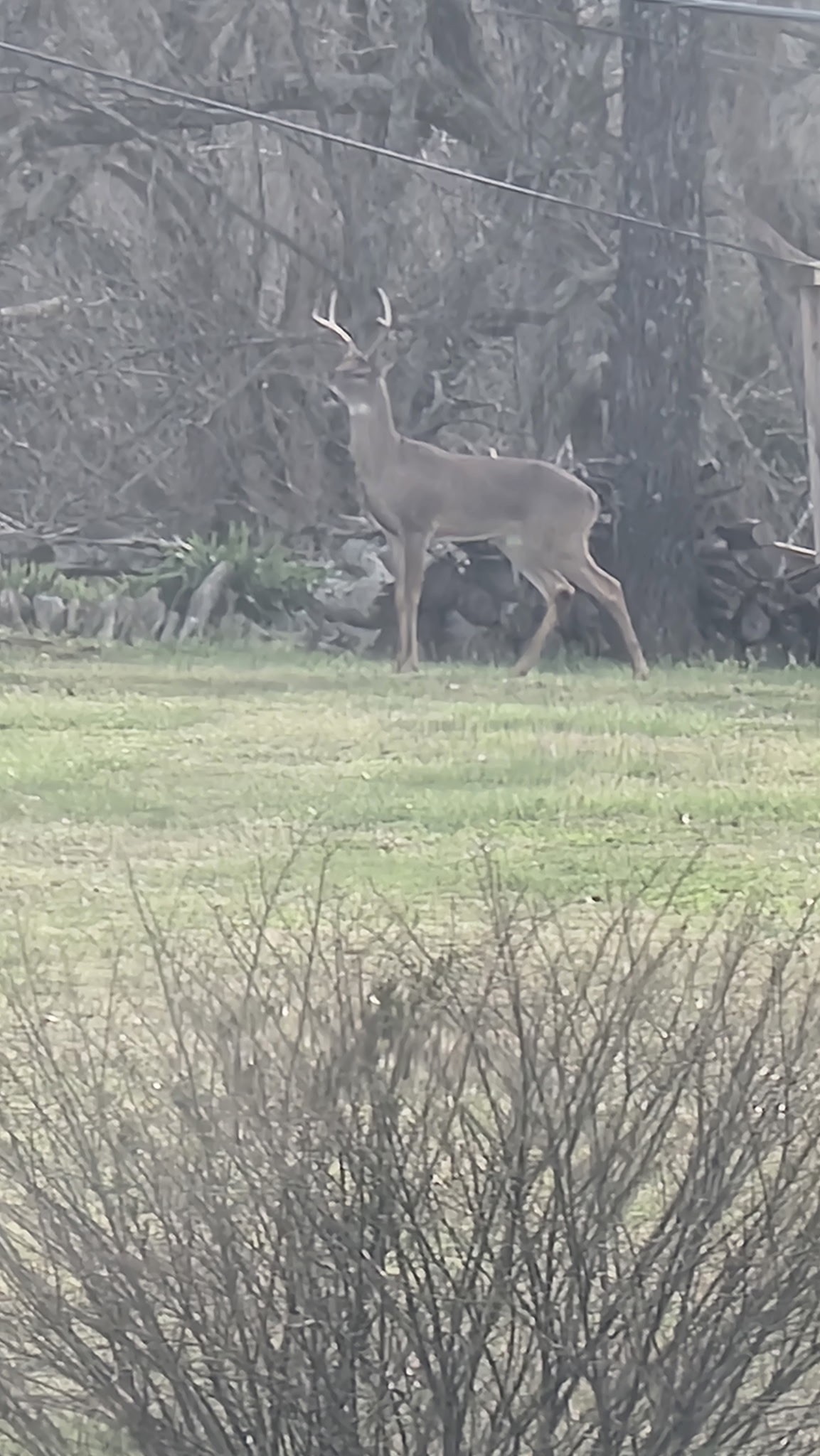 1 Adams Road Watertown, TN 37184 - Photo 16 of 79