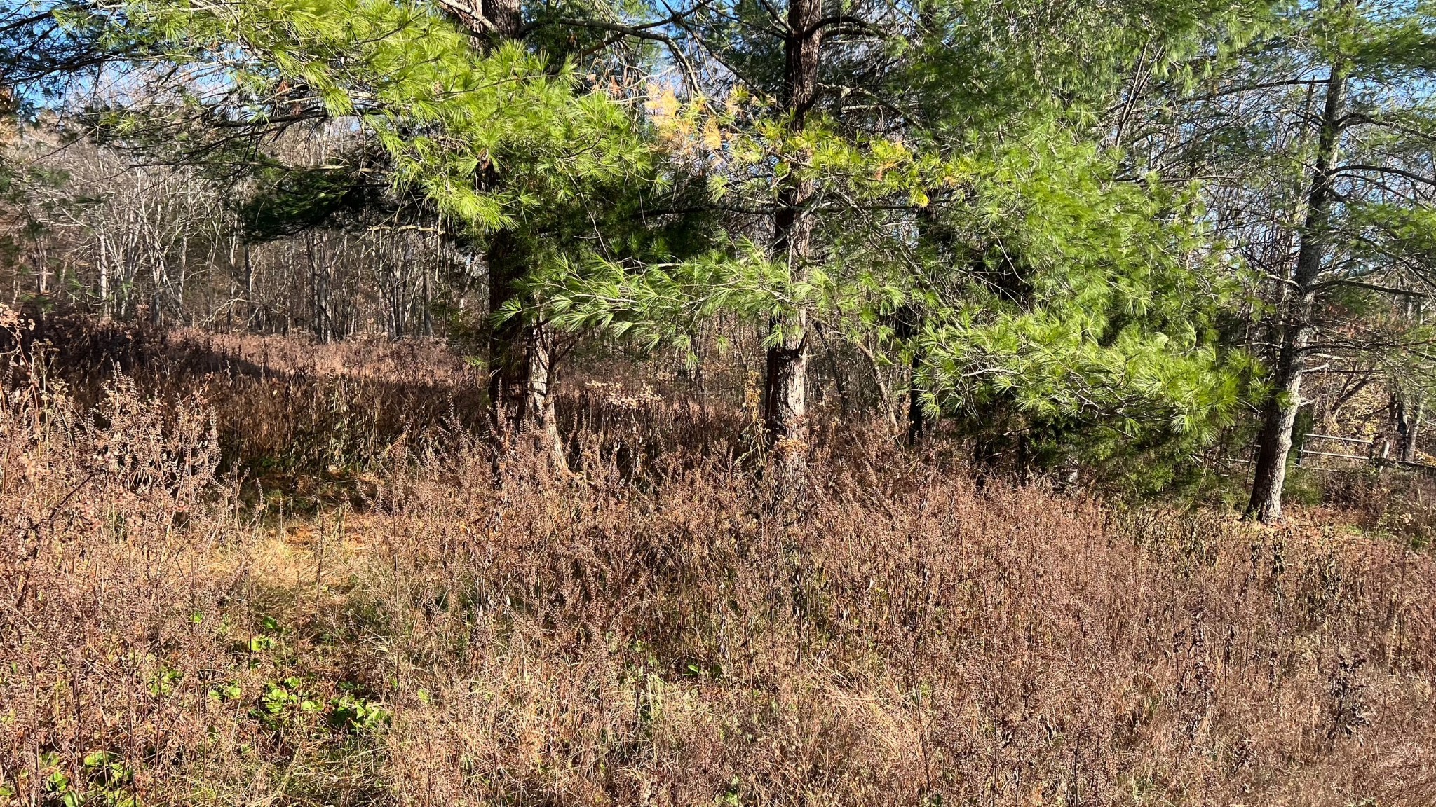 1 Adams Road Watertown, TN 37184 - Photo 20 of 79