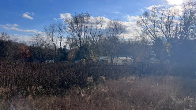a view of swimming pool from a yard