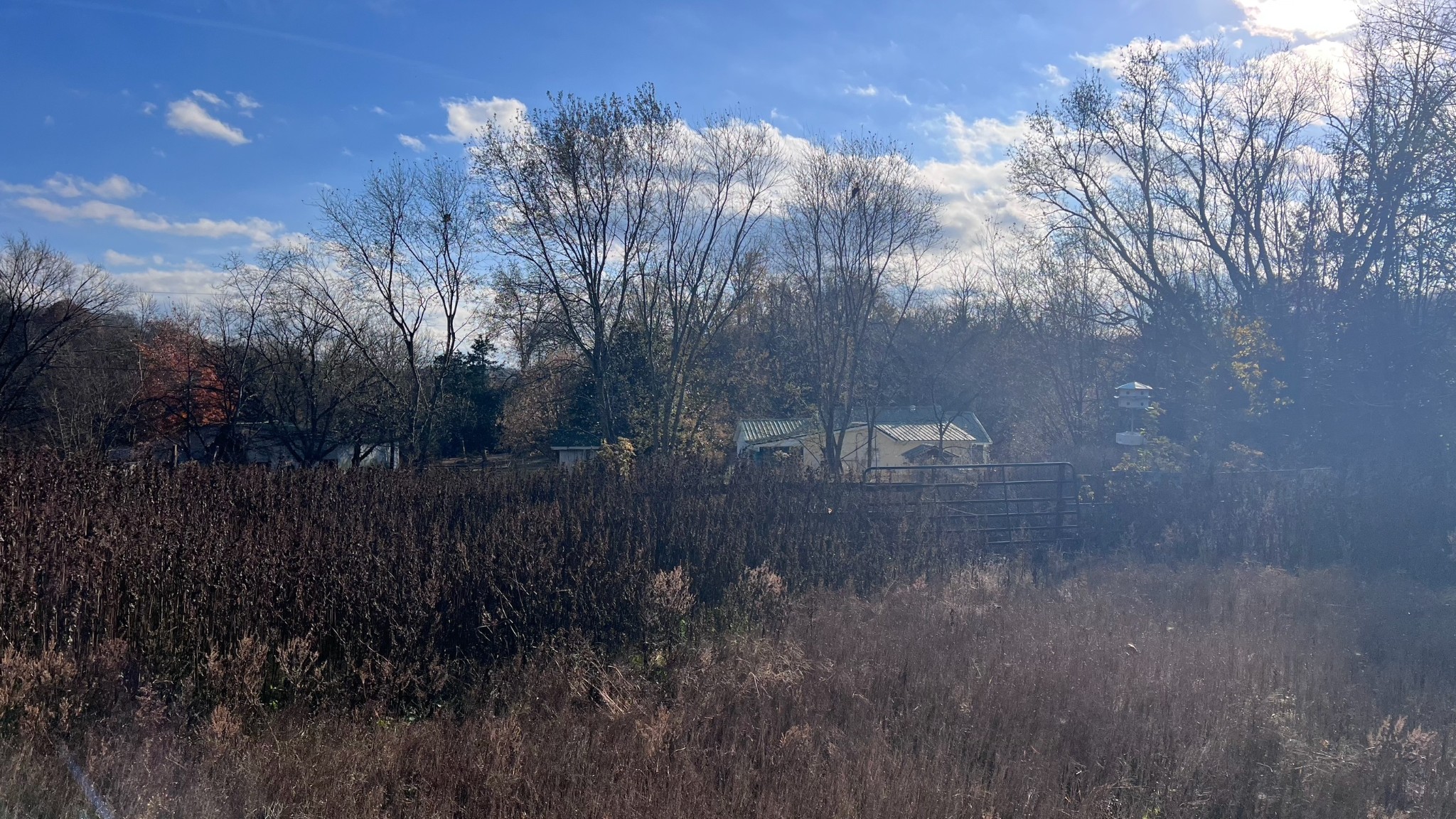 1 Adams Road Watertown, TN 37184 - Photo 23 of 79 a view of a yard