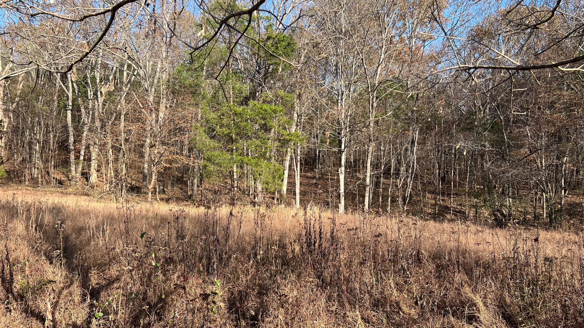 1 Adams Road Watertown, TN 37184 - Photo 28 of 79