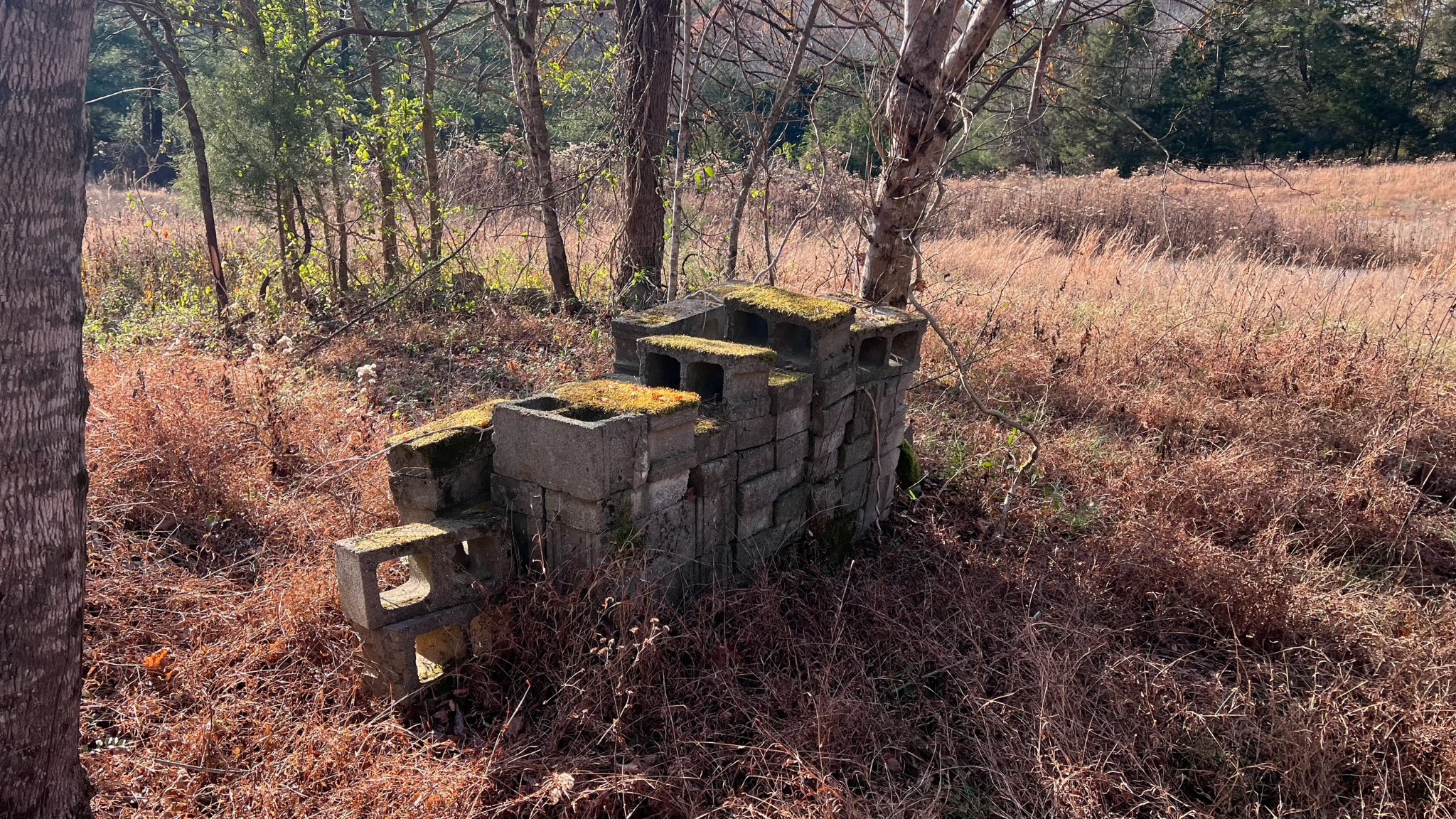 1 Adams Road Watertown, TN 37184 - Photo 30 of 79