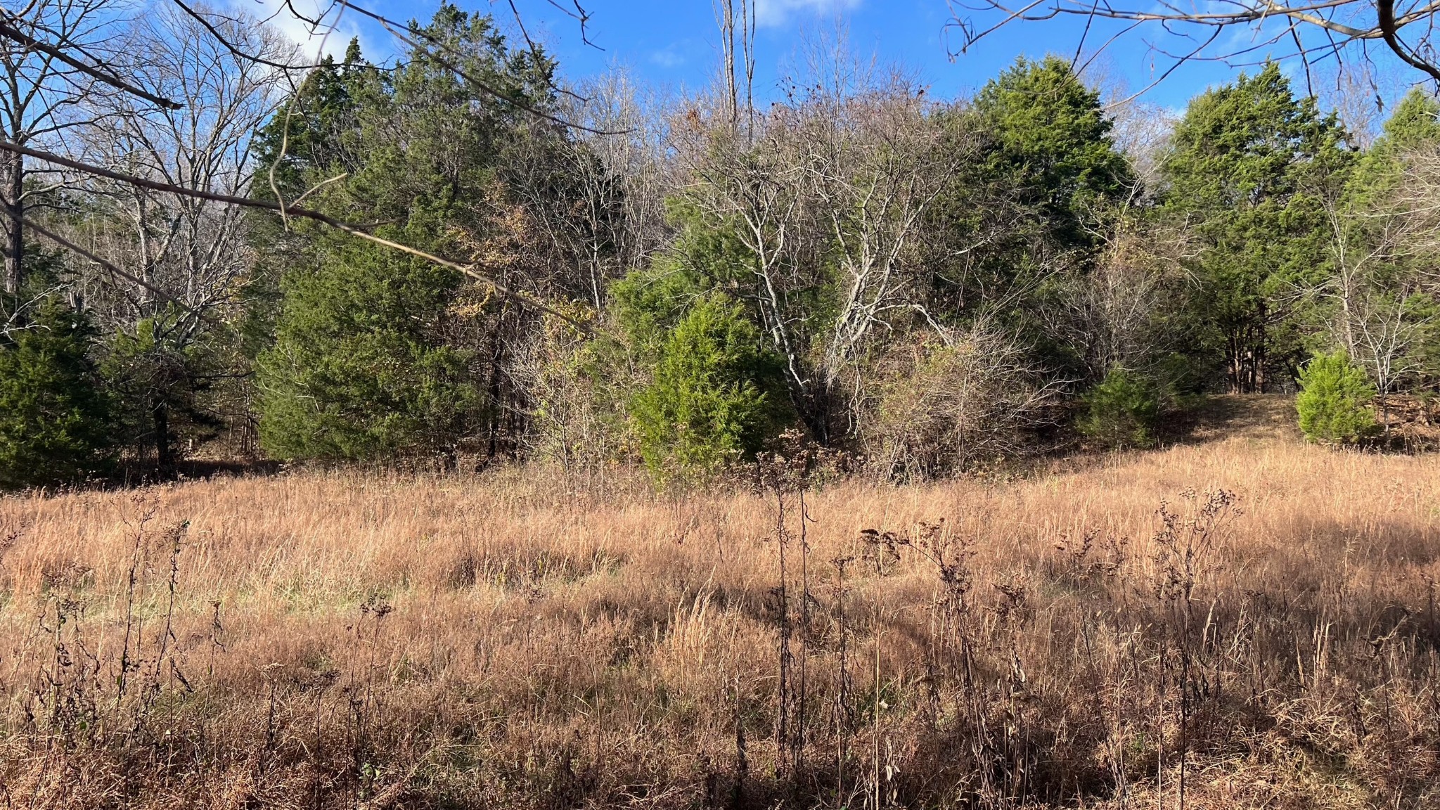 1 Adams Road Watertown, TN 37184 - Photo 32 of 79