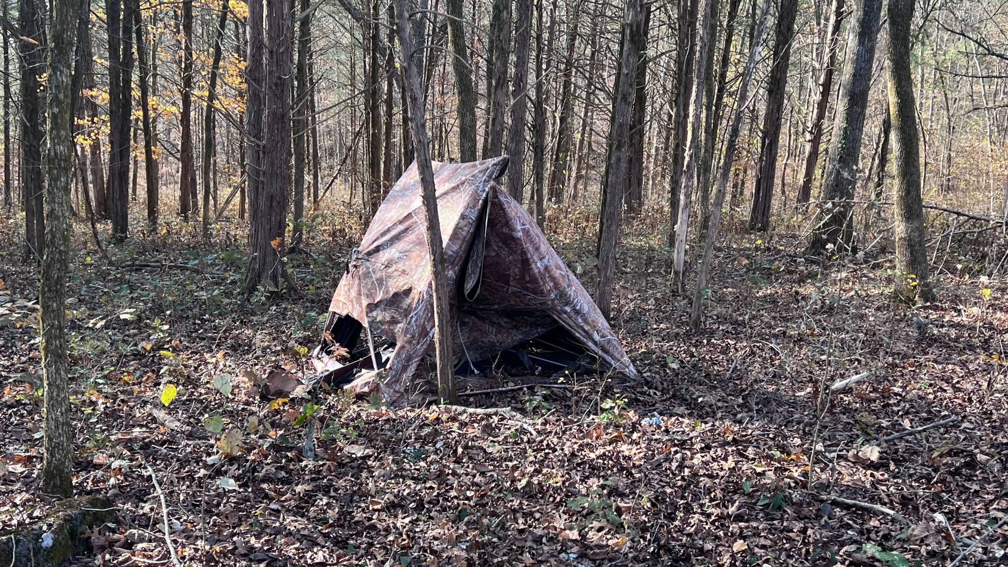 1 Adams Road Watertown, TN 37184 - Photo 37 of 79