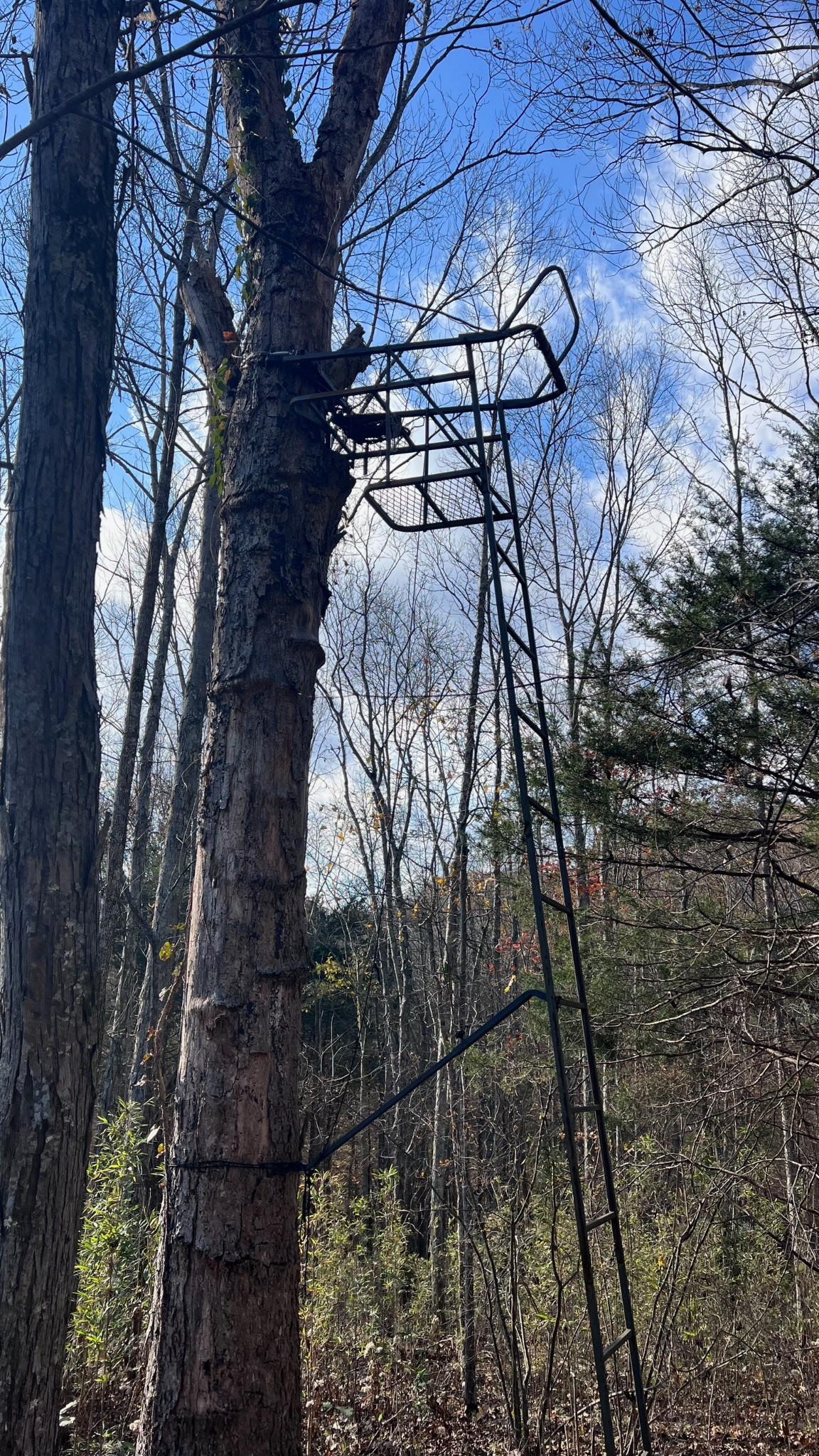 1 Adams Road Watertown, TN 37184 - Photo 38 of 79