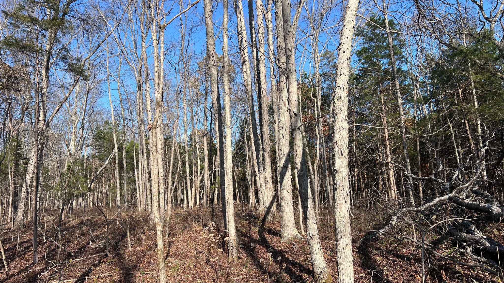 1 Adams Road Watertown, TN 37184 - Photo 41 of 79