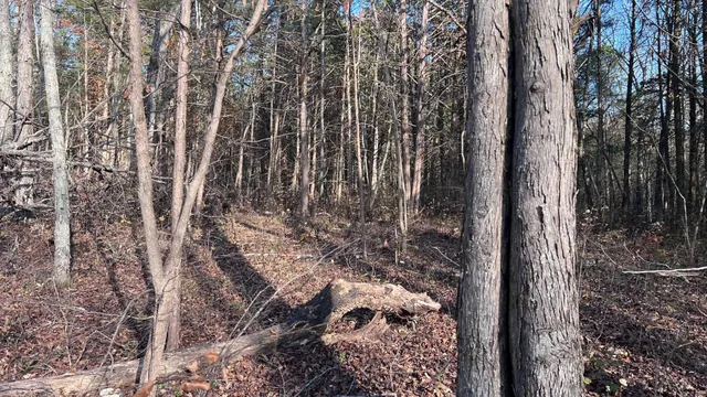 a map view of location