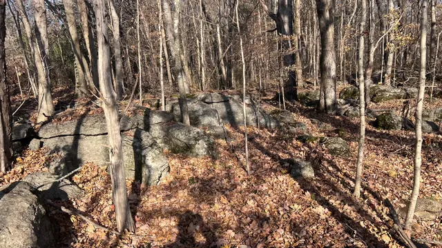 a view of outdoor space and a yard