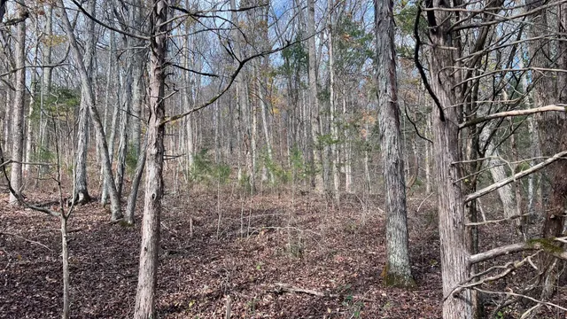 $571,860 | 1 Adams Road, Watertown, TN 37184