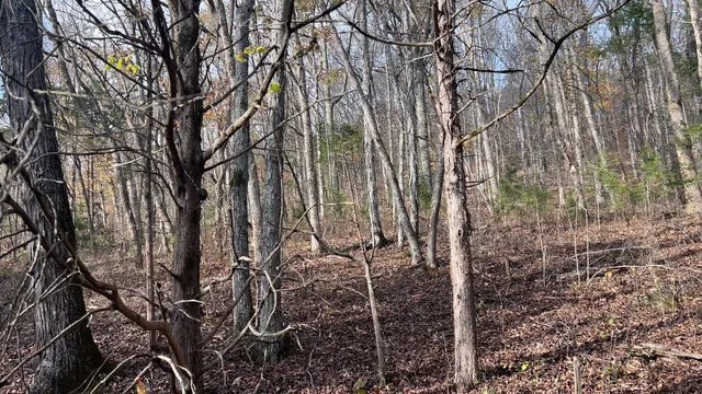 $571,860 | 1 Adams Road, Watertown, TN 37184