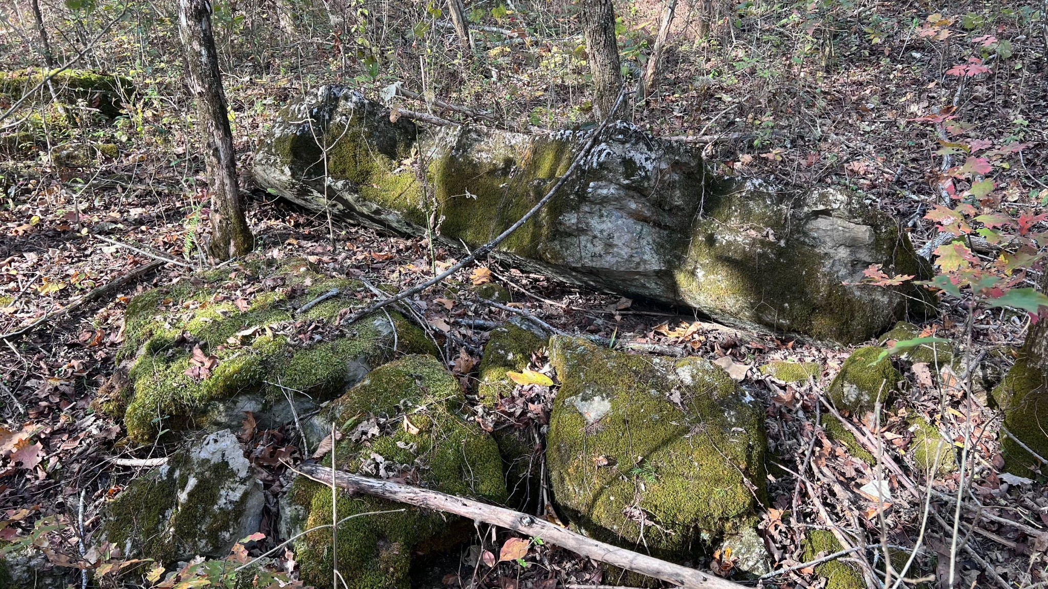 1 Adams Road Watertown, TN 37184 - Photo 56 of 79