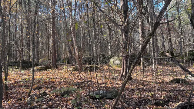 $571,860 | 1 Adams Road, Watertown, TN 37184