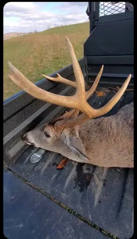 a view of outdoor space