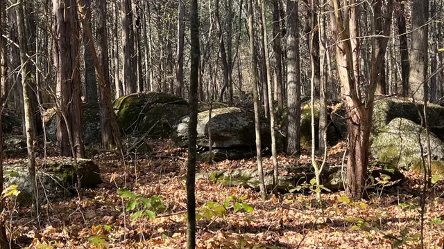 $571,860 | 1 Adams Road, Watertown, TN 37184