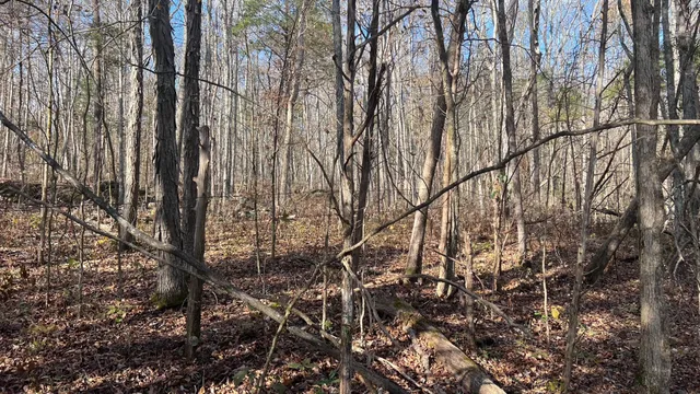 $571,860 | 1 Adams Road, Watertown, TN 37184