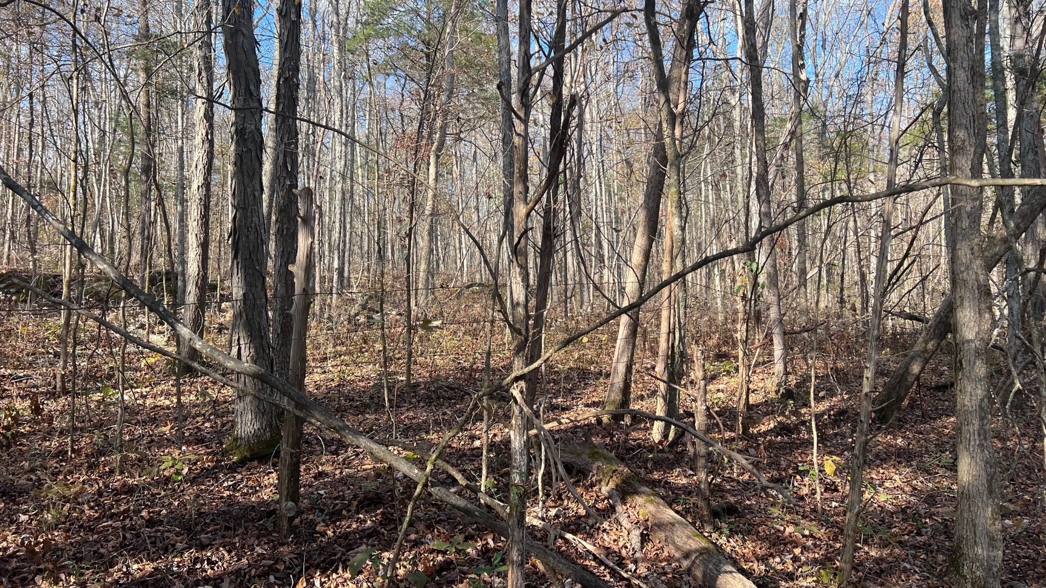 1 Adams Road Watertown, TN 37184 - Photo 66 of 79