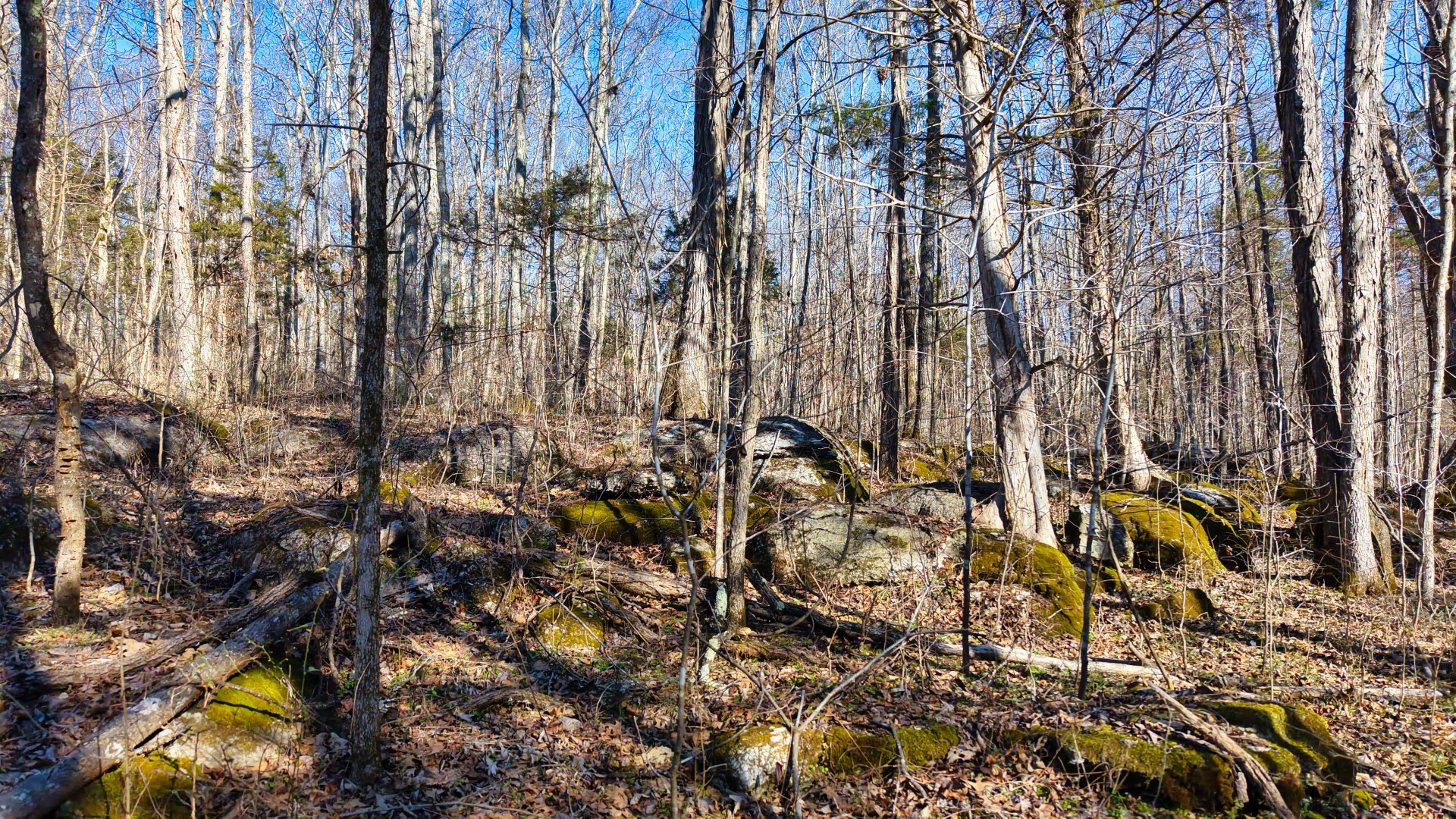 1 Adams Road Watertown, TN 37184 - Photo 67 of 79