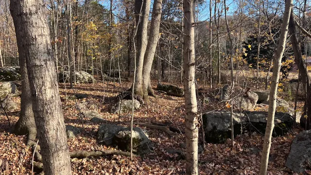 a view of small yard